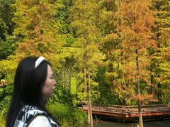 -云溪植物园