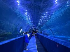 -秦皇岛新澳海底世界
