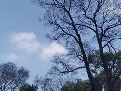 -广州市白云山风景名胜区