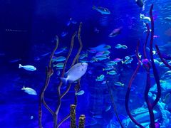 -沈阳海洋探索中心