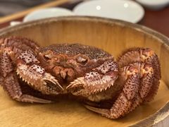 红毛蟹-蟹田居·活蟹料理(东城店)