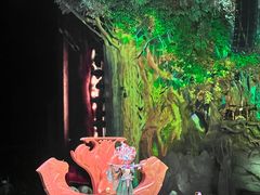 -广州长隆国际大马戏