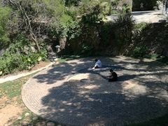 -厦门园林植物园-植物园滴水山房