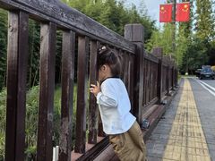 -黄海国家森林公园