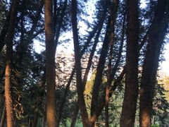 -华南国家植物园-售票处