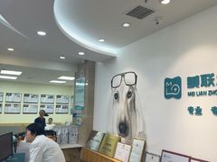 -美联众合动物医院·24h转诊中心