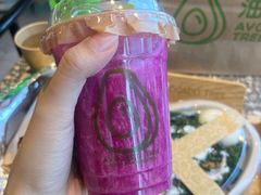 -油梨树AVOCADO TREE(望京店)