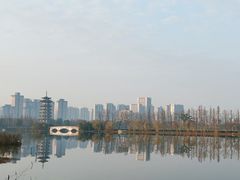 -洋湖国家湿地公园