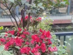 -大妙火锅·非物质文化遗产(东湖公园店)