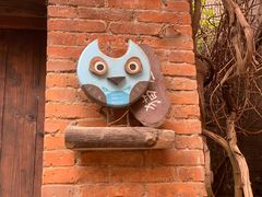 -小洲村