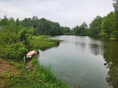 -桤木河湿地公园