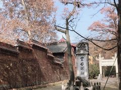 -灵谷景区