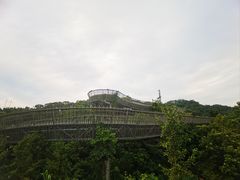 -福道