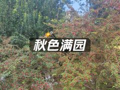 -元大都城垣遗址公园