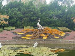 -中山公园