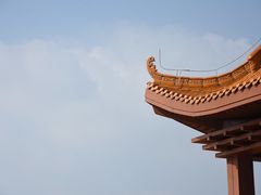 -深圳仙湖植物园
