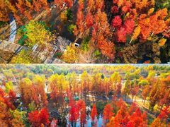 -龙口南山旅游景区