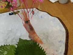 -和创柚子·会席日本料理(新区淮海街店)