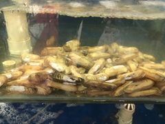 -雅逸居海鲜小厨