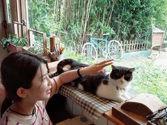 -海边的猫和咖啡馆