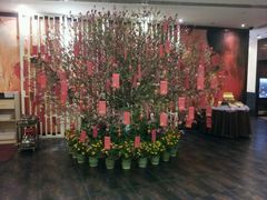 android_upload_pic-顺悦酒家(嘉信城市广场店)