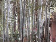 -天赐温泉