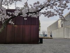 -龙美术馆(西岸馆)