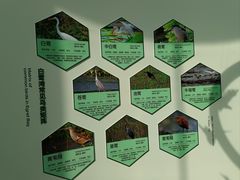 -白鹭湾湿地公园