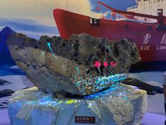 -海合安青岛极地海洋公园