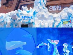 -秦皇岛乐岛海洋王国