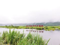 -腾冲北海湿地