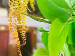 -重庆乌鱼庄·龙滋鲜(青羊大道店)