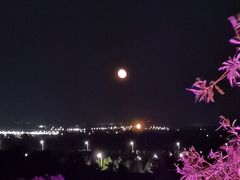 -谜语人真人演绎沉浸式密室实景游戏剧场