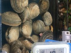 天鹅蛋贝-盒马鲜生(曜一城店)