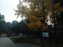 -温江公园