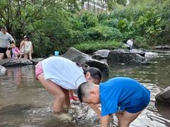 -重庆彩云湖湿地公园