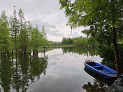 -白鹭湾湿地公园