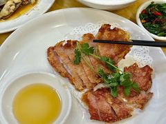 -金砂阿洲鱼册店