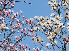 -白塘生态植物园