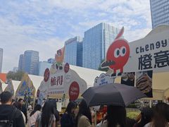 -合景·悠方(成都店)