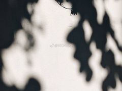 -拾壹cafe·工作室