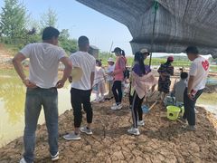 -梁子湖东篱老屋生态庄园