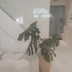 -安那般那皮肤年轻化ANAPANA