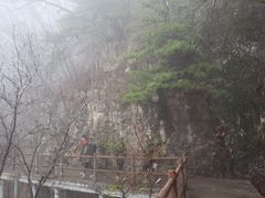 -牛背梁国家森林公园