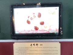 -老外街