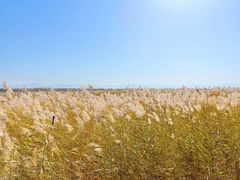-野鸭湖国家湿地公园
