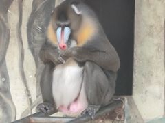 -宁波野生动物园