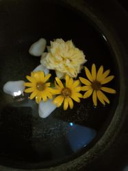 -梵隐SPA