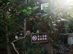-呀路古热带植物园