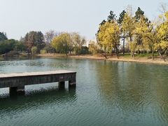 -尚贤河湿地